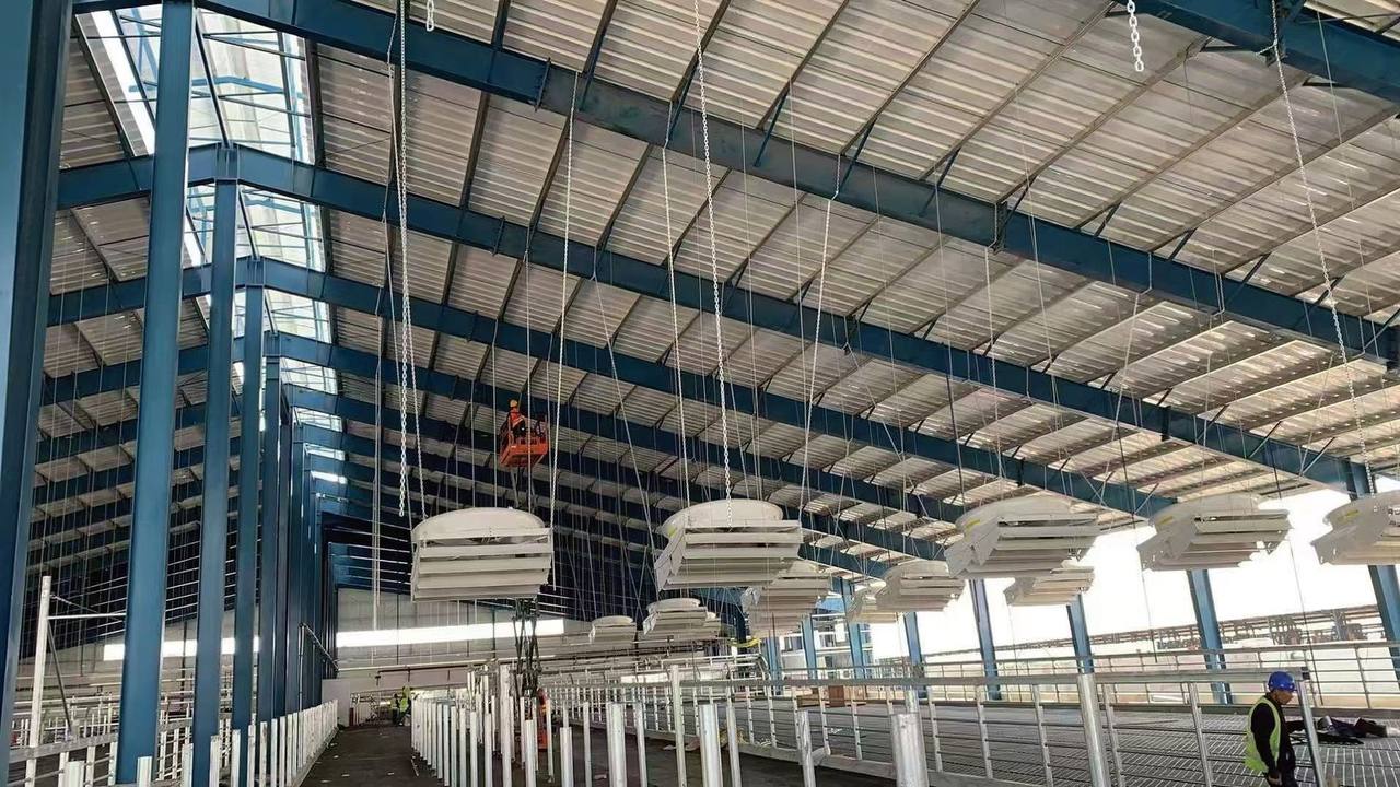 Modern cattle barn with hanging fans