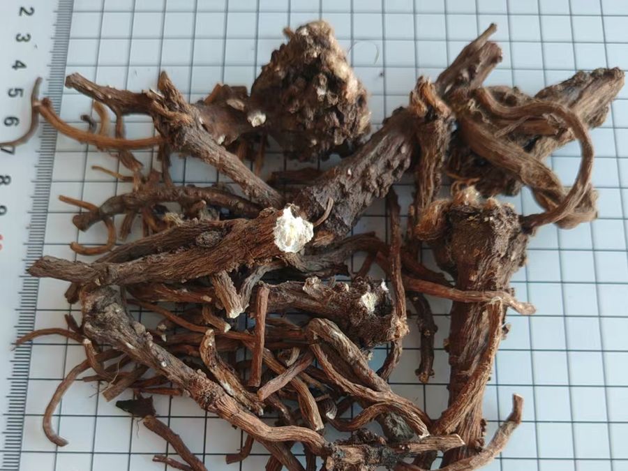Dried dandelion root