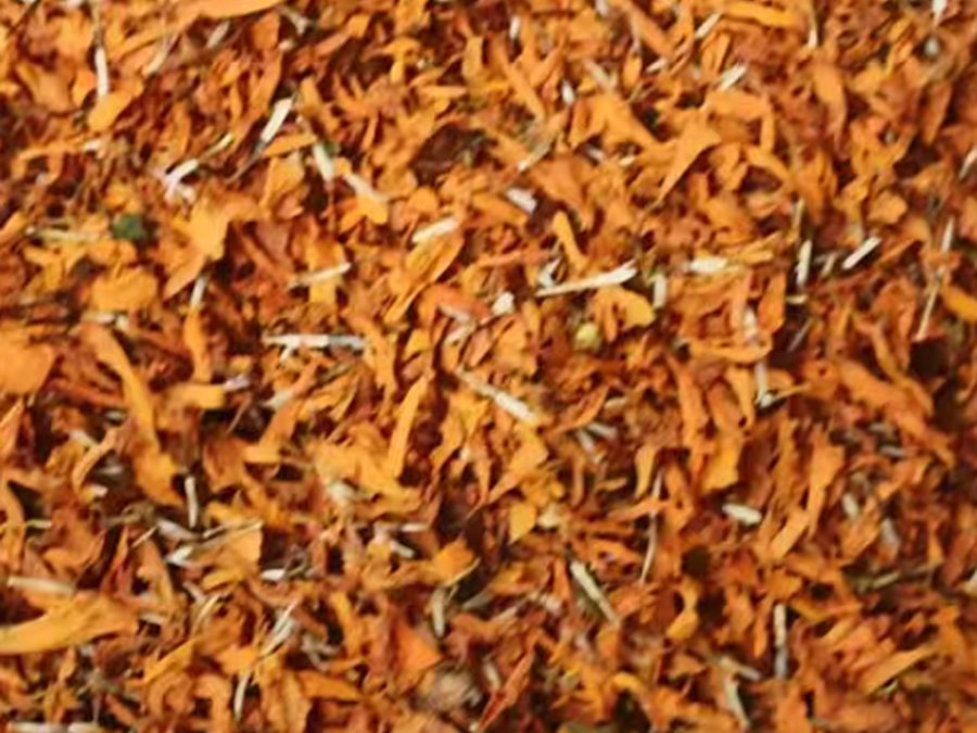 Dried marigold flowers