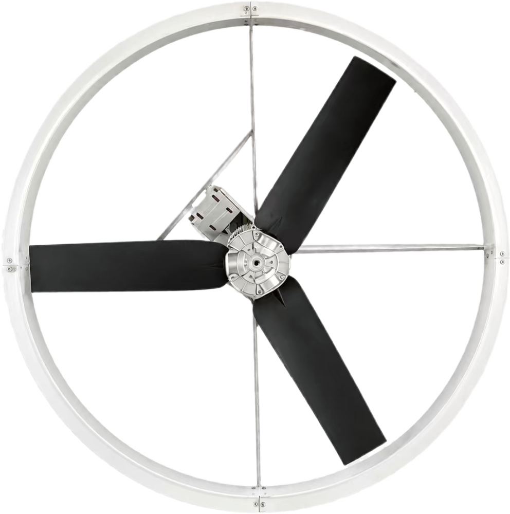 Circulation Fan